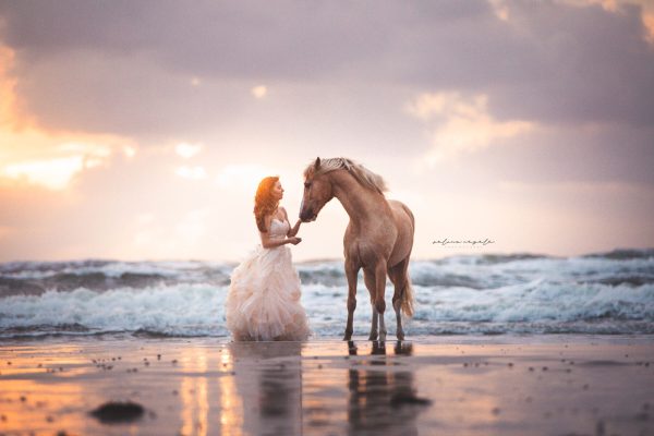 Fotografie Ulm Neu-Ulm