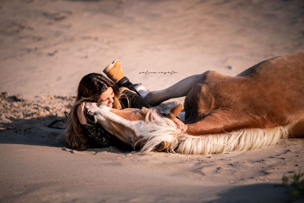 Haflinger Selina Negele