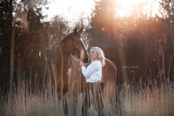 Pferde Hunde Fotografie Selina Negele